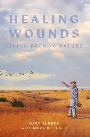 Healing Wounds book cover