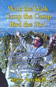 Walk the Walk Book Cover