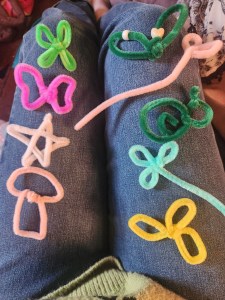 Pipe cleaner crafts
